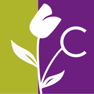 Icona dell'applicazione